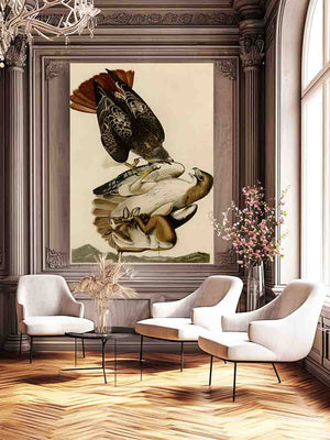 Red Tailed Hawk