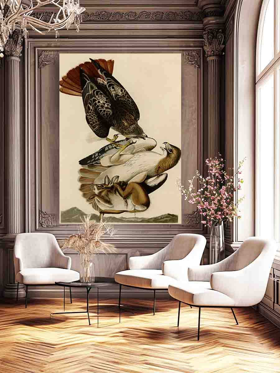 Red Tailed Hawk