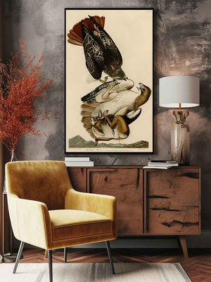 Red Tailed Hawk