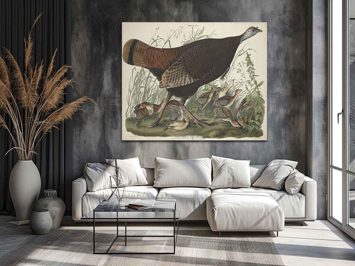 Great American Hen And Young (Plate Vi)