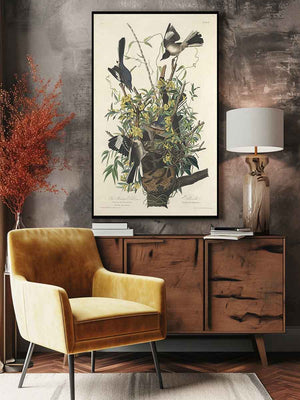 The Mocking Bird (Plate 21)