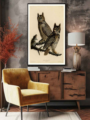 Great Horned Owl (Plate 61)