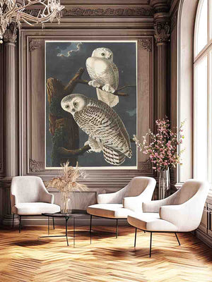 Snowy Owl