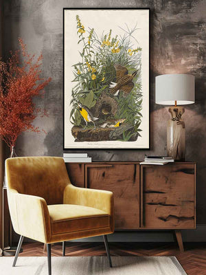Meadow Lark (Plate Cxxxvi)