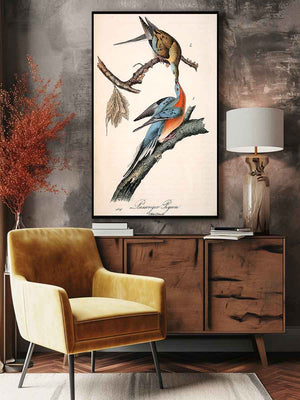 Passenger Pigeon, from 'Birds of America'