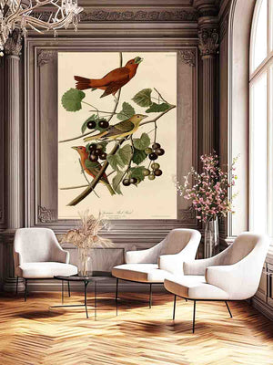 Summer Red Bird (Plate Xliv)