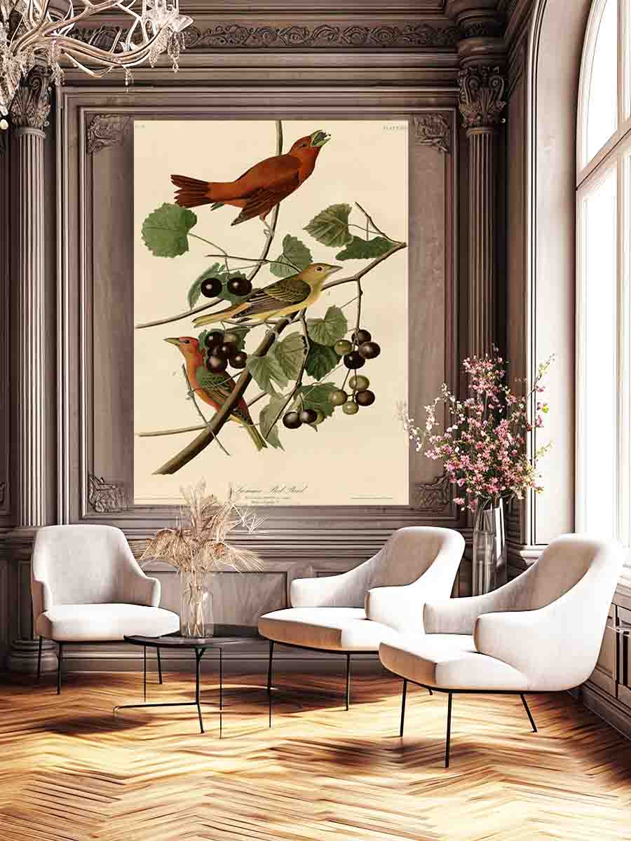 Summer Red Bird (Plate Xliv)