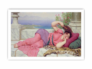 Noonday Rest