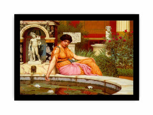 A Lily Pond