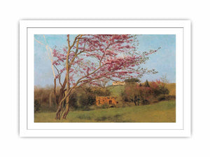 Landscape Of A Blossoming Red Almond