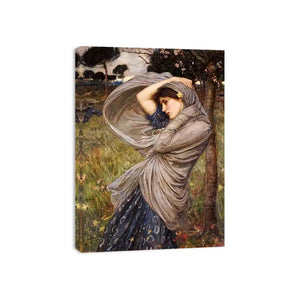 Boreas 1903