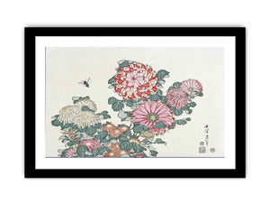 Chrysanthemums and Horsefly