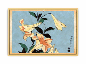 Lilies