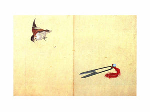 Pair of sissors and sparrow