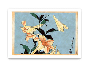 Lilly