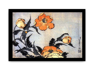 Poppies