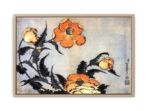 Poppies