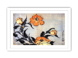 Poppies