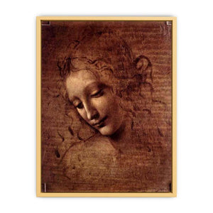 Female head (The Lady of the Dishevelled Hair) (or La Scapigliata)