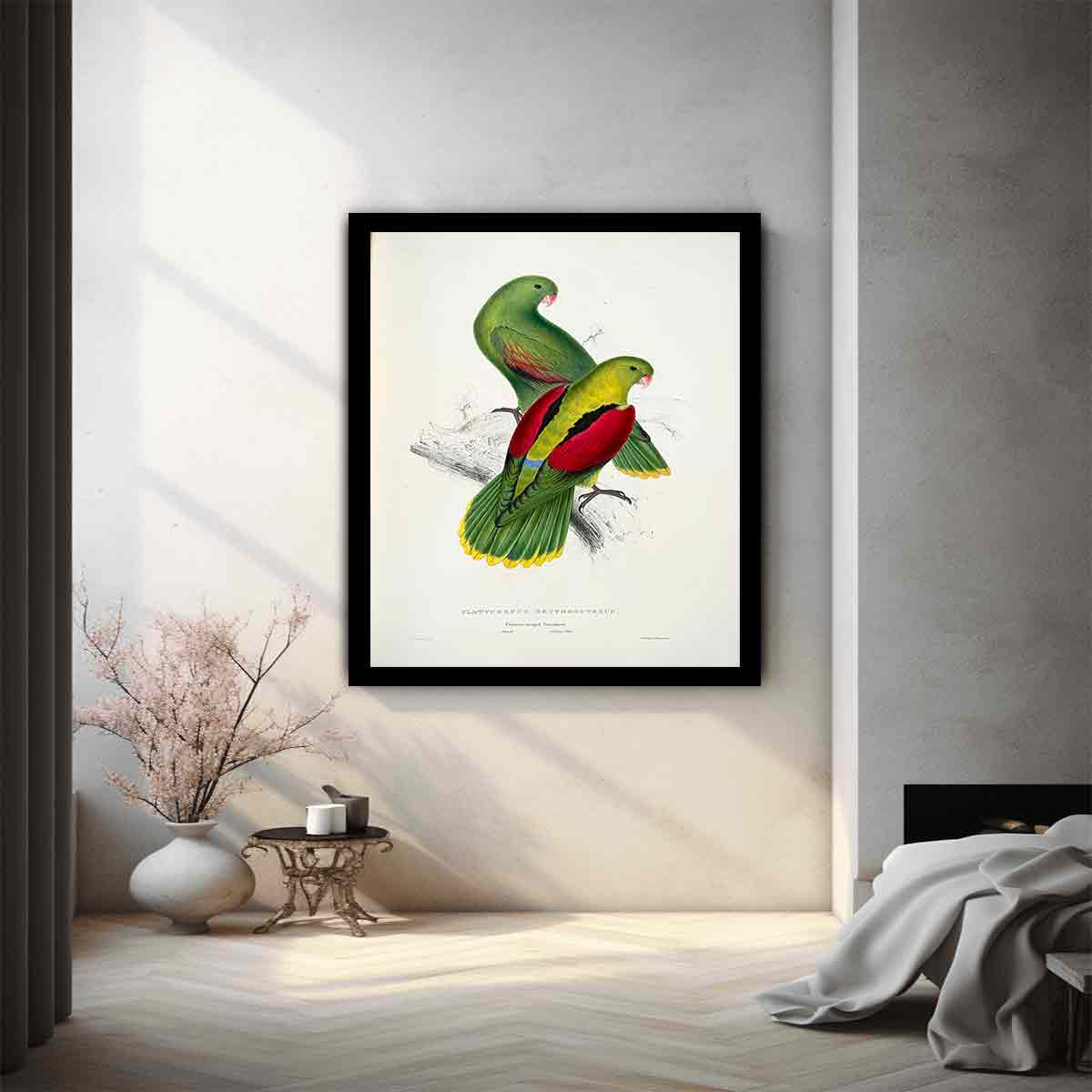 Aprosmictus erythropterus -Platycercus erythropterus. Crimson-winged parrakeet -by Edward Lear