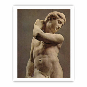 David-Apollo