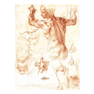 Study for the Libyan Sibyl 1511