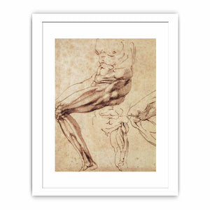 Three Studies of a Leg