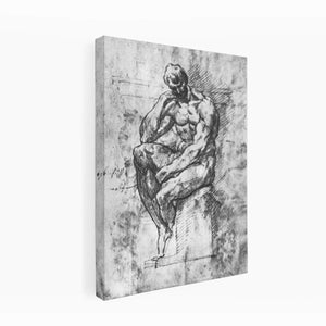 Study of a Man 1510-11