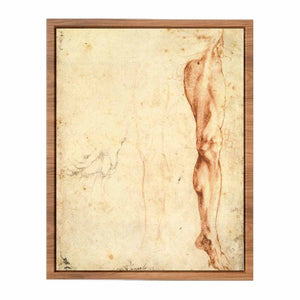 Study of a Left Male Leg (verso)