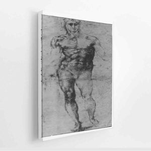 Male Nude (recto)