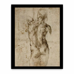 Standing Male Nude, Seen from the Rear (recto) By Michelangelo Buonarroti