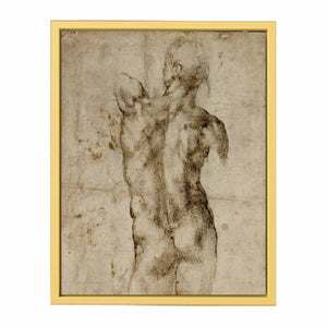 Standing Male Nude, Seen from the Rear (recto)