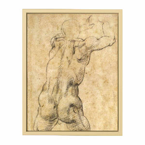 Kneeling Male Nude, Seen from the Rear By Michelangelo Buonarroti
