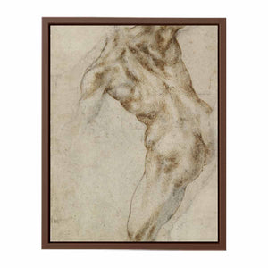 Male Nude, Seen from the Rear (recto) By Michelangelo Buonarroti