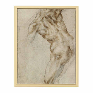 Male Nude, Seen from the Rear (recto) By Michelangelo Buonarroti