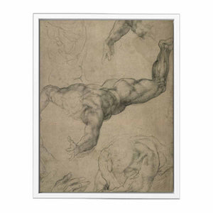 Studies for a Flying Angel (recto) By Michelangelo Buonarroti
