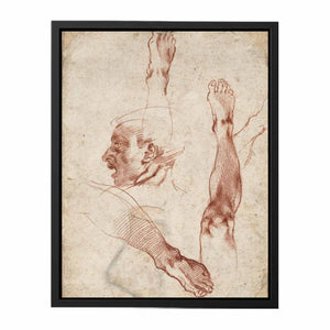 Male Head in Profile and Leg Studies (recto)