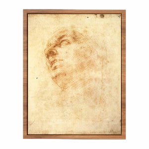 Study of a Head Looking Upward (recto) By Michelangelo Buonarroti