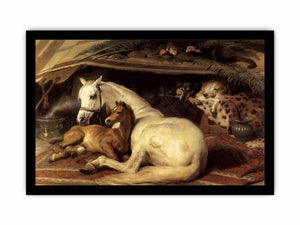 The Arab Tent 1866