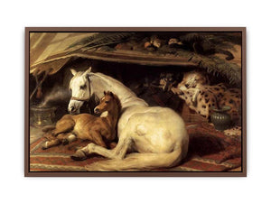 The Arab Tent 1866