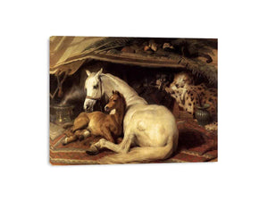 The Arab Tent 1866