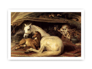 The Arab Tent 1866