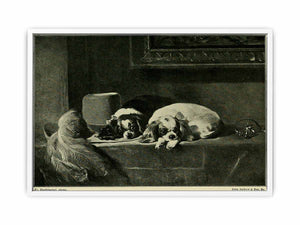 Landseer : a collection of fifteen pictures and a portrait of the painter