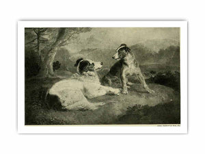 Landseer : a collection of fifteen pictures and a portrait of the painter