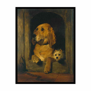 Dignity and Impudence