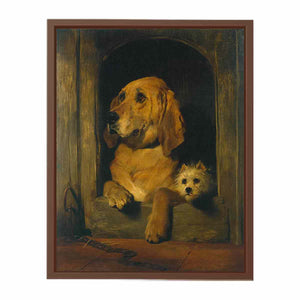 Dignity and Impudence