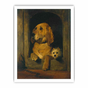 Dignity and Impudence