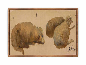 Three Sheep at Rest