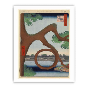 Moon Pine, Ueno