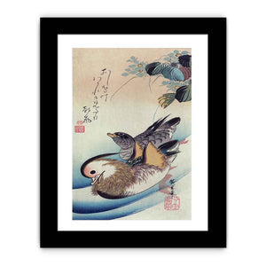 Mandarin duck woodcut
